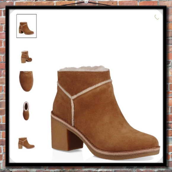 UGG Shoes - UGG Kasen Chestnut Ankle Boot